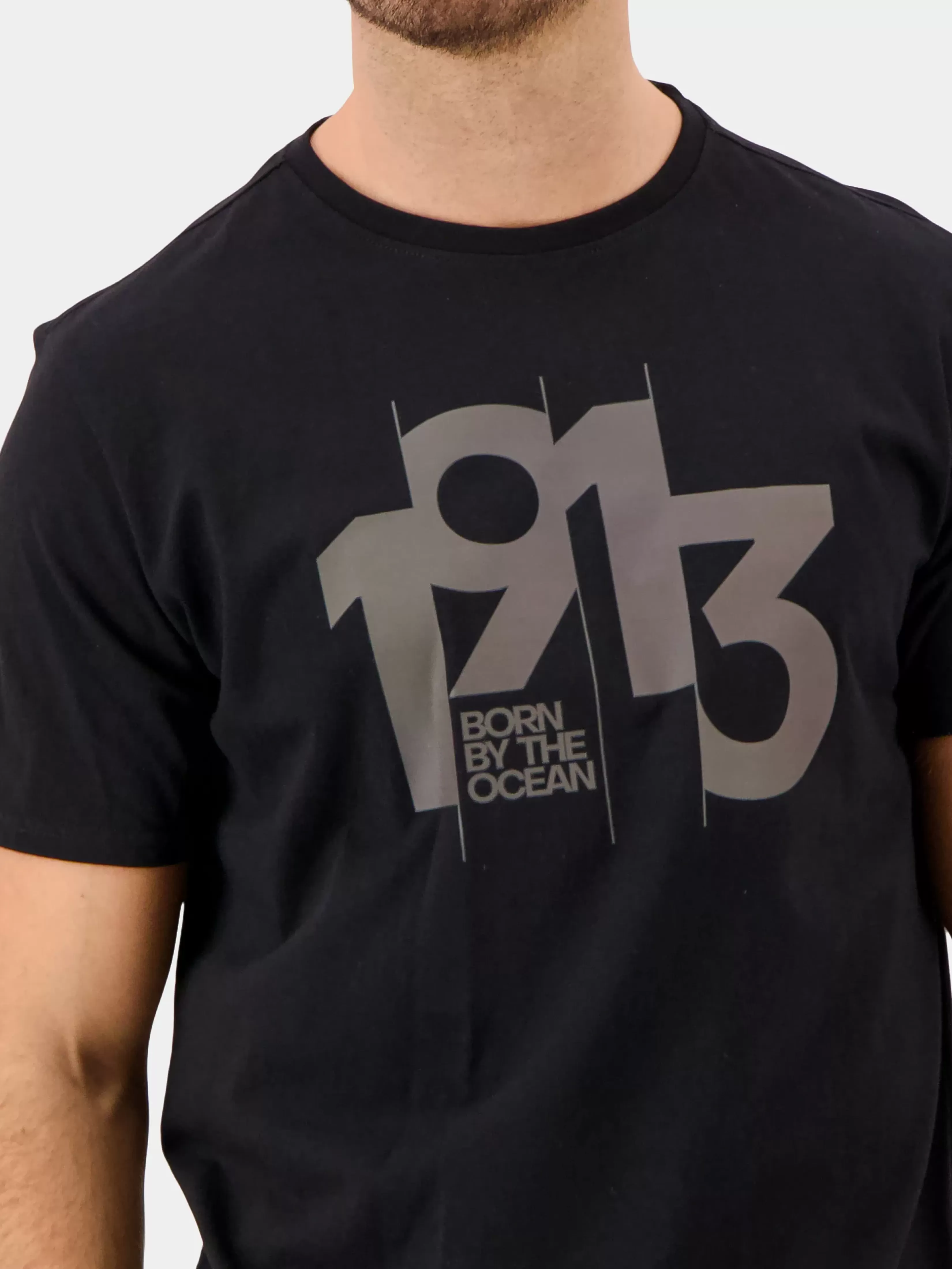 Didriksons Heritage Printed Men's T-Shirt>Herre T-Skjorter Og Pikéer